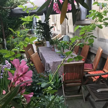 Проживание в семье Violette