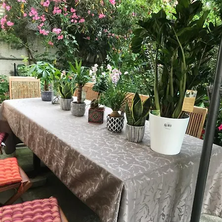 Проживание в семье Violette