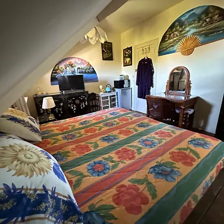 Проживание в семье Violette