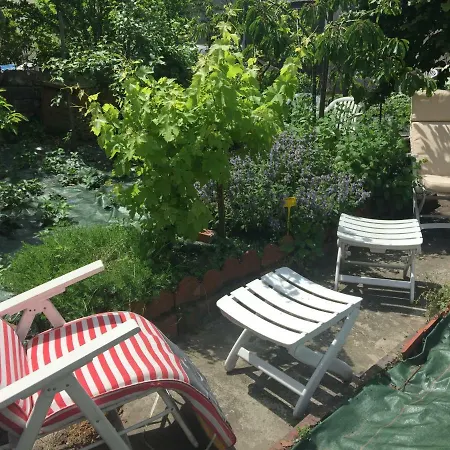 Проживание в семье Violette