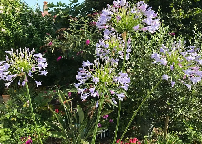 Séjour chez l'habitant Violette