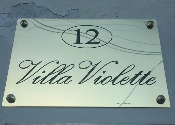 Violette * בורדו