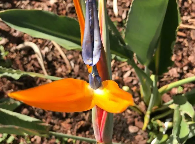 Privatunterkunft Violette *